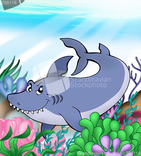 Image of Big blue shark underwater
