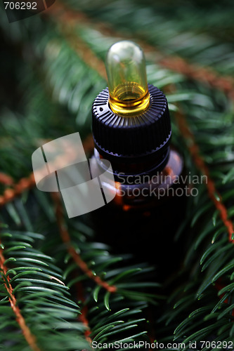 Image of fir tree essential oil