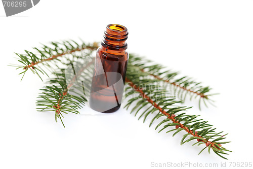 Image of fir tree essential oil