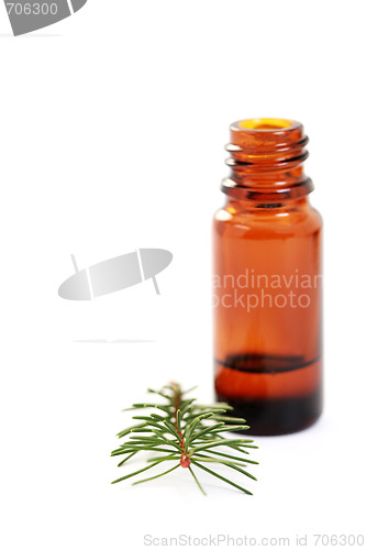 Image of fir tree essential oil