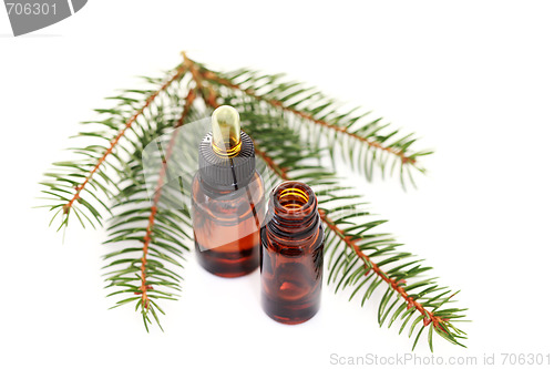 Image of fir tree essential oil