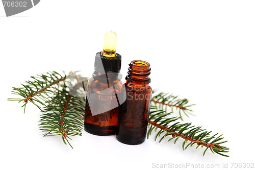 Image of fir tree essential oil