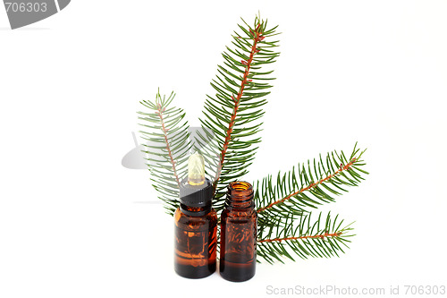 Image of fir tree essential oil
