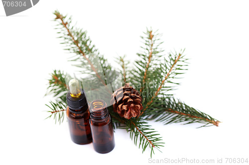 Image of fir tree essential oil