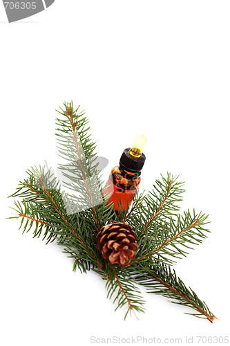 Image of fir tree essential oil