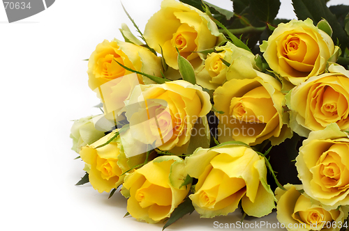 Image of Yellow roses