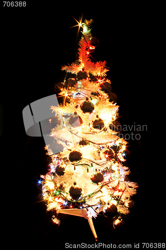 Image of xmas tree