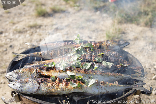 Image of preparing grilled fishes 