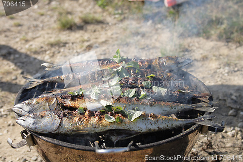 Image of preparing grilled fishes 