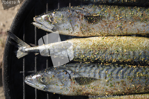 Image of grilled fishes background