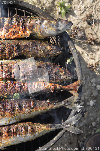 Image of grilled fishes background