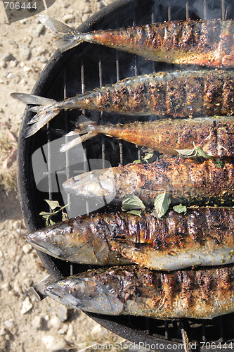 Image of grilled fishes background