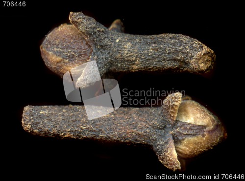 Image of clove