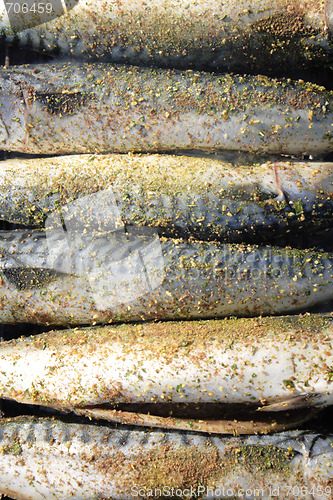 Image of grilled fishes background