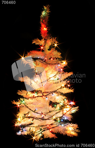 Image of xmas tree