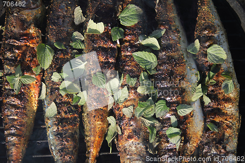 Image of grilled fishes background