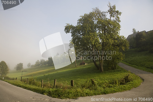 Image of Foggy morning