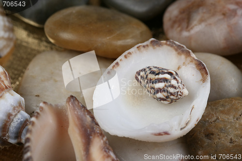 Image of Rock background.