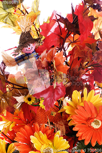 Image of Fall Flowers