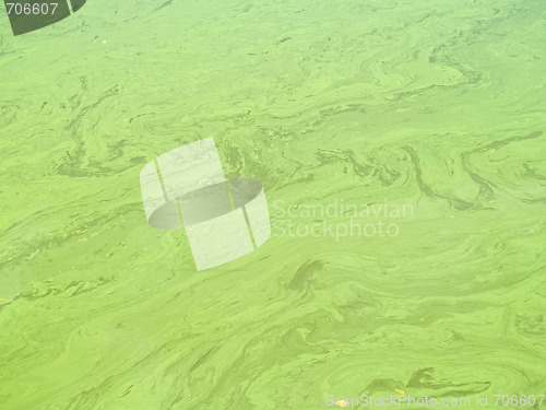 Image of Polluted Water Background