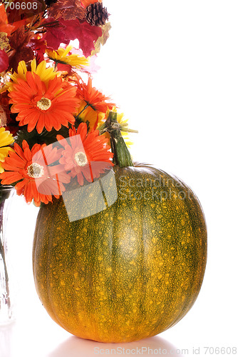 Image of Ripening Pumpkin