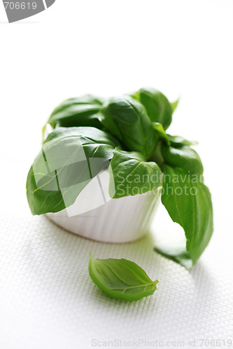 Image of fresh basil