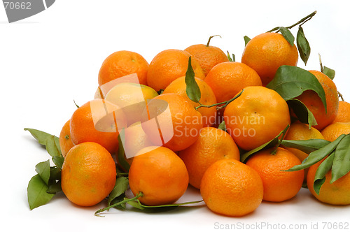 Image of Tangerines