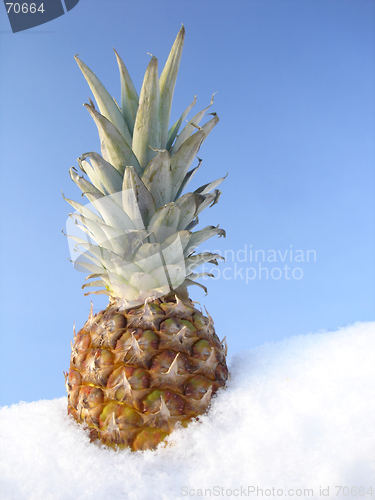 Image of pineapple
