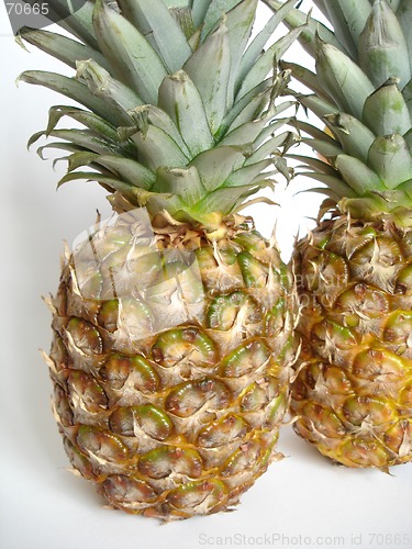 Image of pineapples