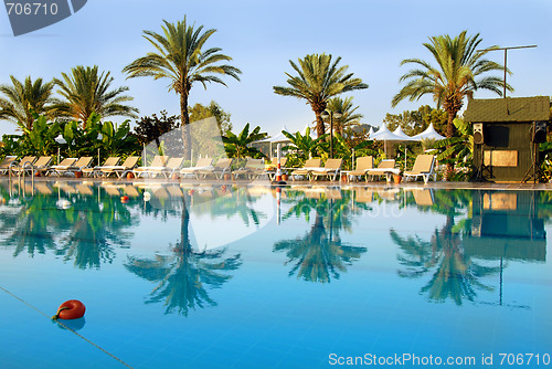 Image of Palms and chairs by swimming pool