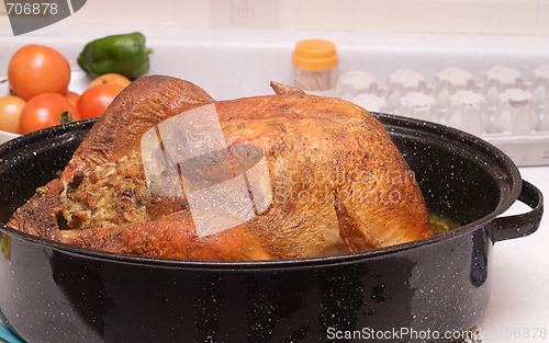 Image of Cooked Turkey