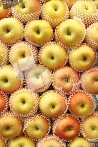 Image of Apples, packaged neatly