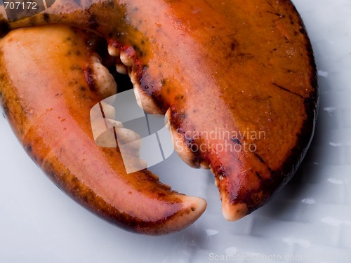 Image of Lobster