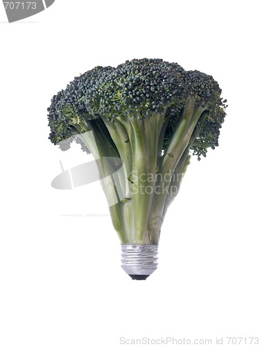 Image of Electric Broccoli