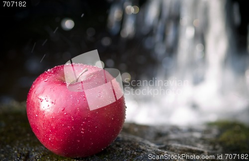 Image of Apple