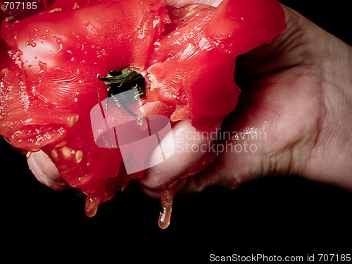 Image of Tomato Squeeze
