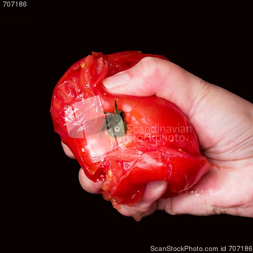 Image of Tomato Squeeze