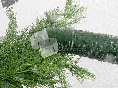 Image of Cucumber and Dill