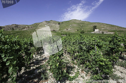 Image of Rhone