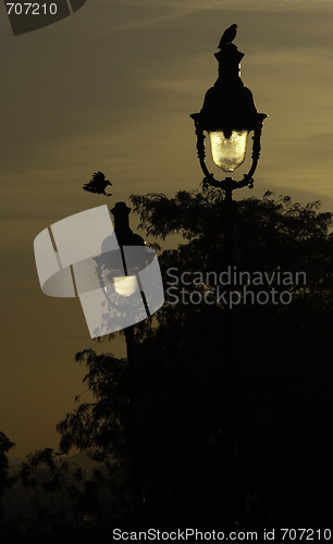 Image of Street light 2