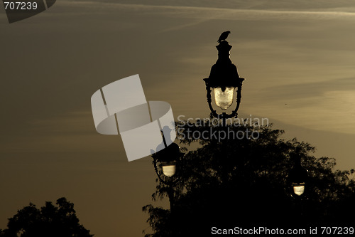 Image of Street light 1