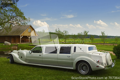 Image of Light limousine in the meadow