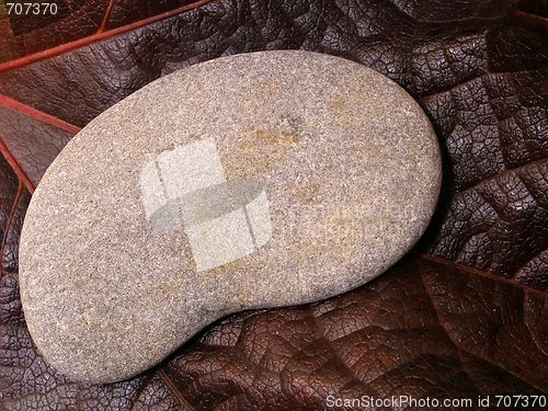 Image of pebble