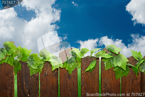 Image of rural fence