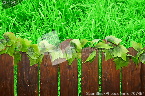 Image of Wooden brown picket fence