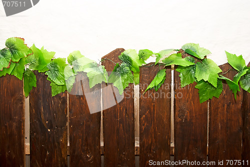 Image of wooden fence