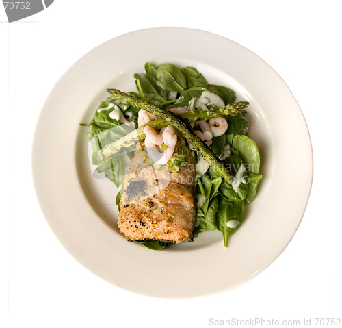 Image of Salmon plate