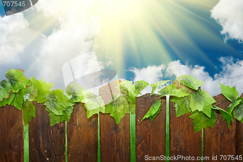 Image of Sunny day with rural fence