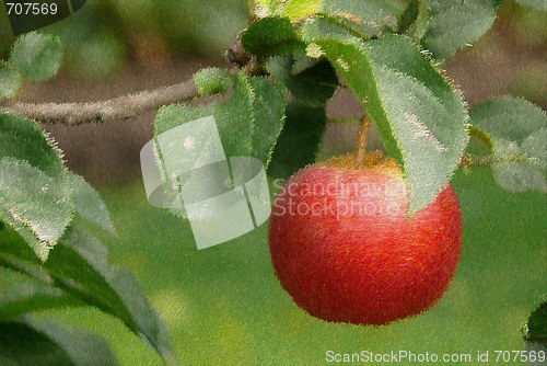 Image of red apple painting