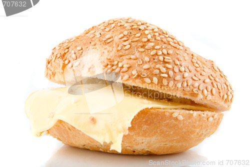 Image of cheese sandwich